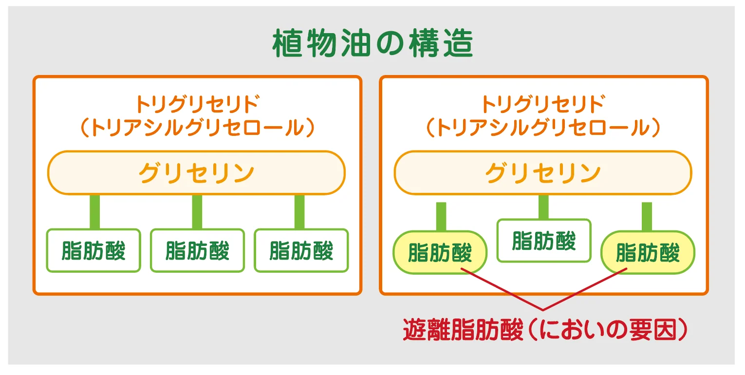遊離脂肪酸の図解