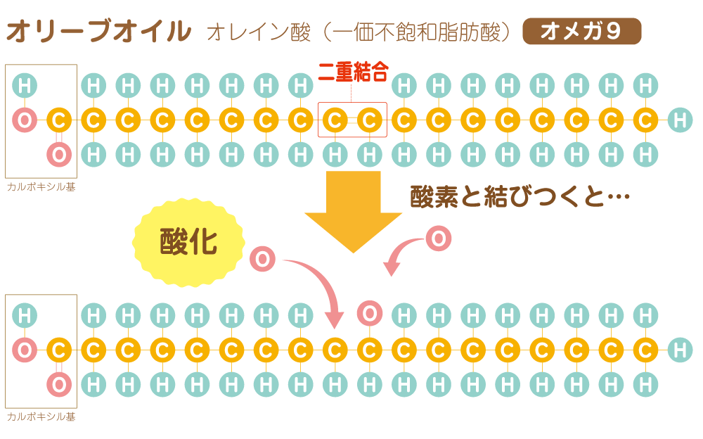 ラウリン酸の構造図