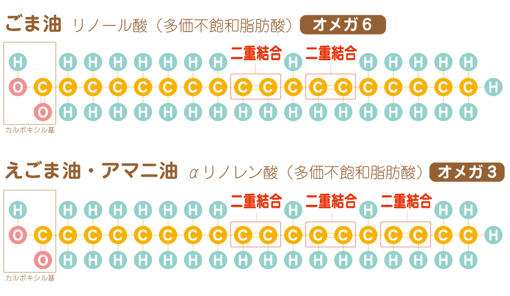 オレイン酸・リノール酸の構造図