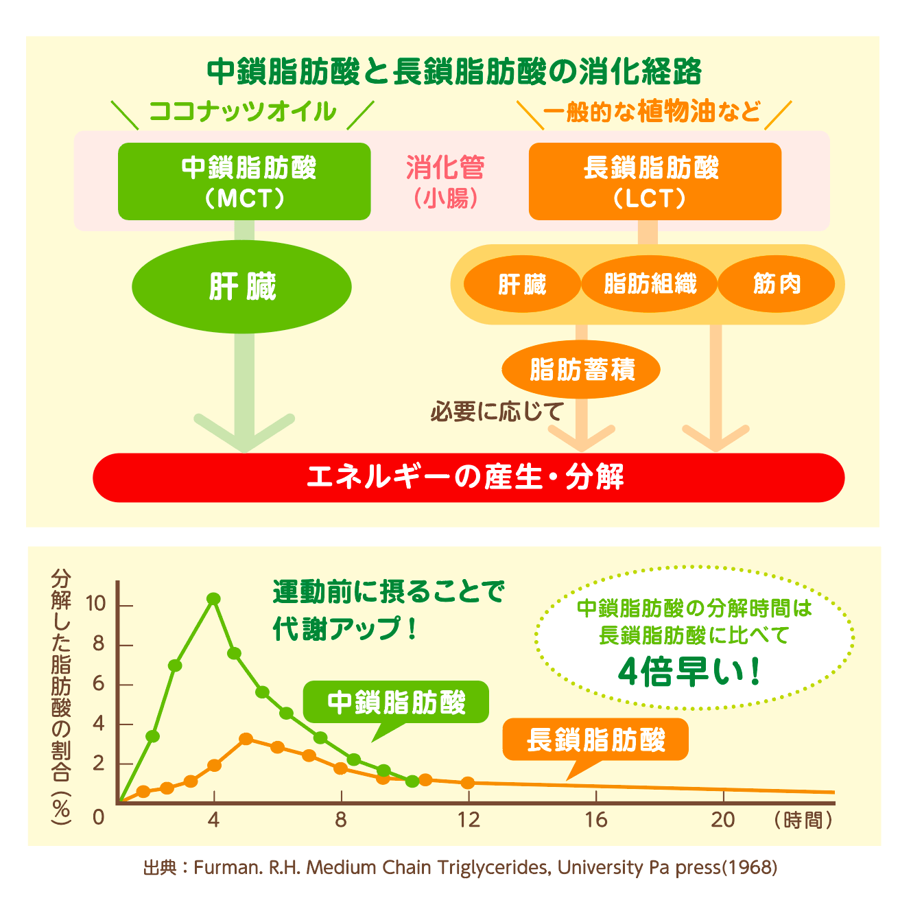 MCTオイルに関する表